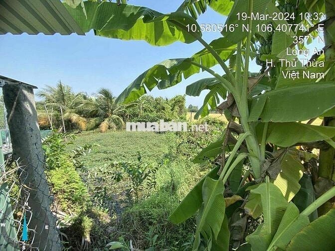 Ngân hàng thanh lý 270m2 đất mặt tiền tại Bình Thạnh, Thủ Thừa, LA