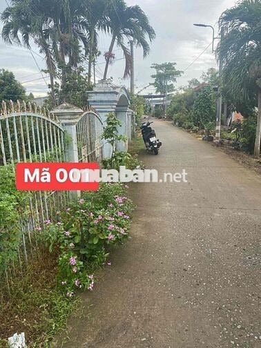 2 căn nhà cần bán chính chủ thổ cư . sổ đỏ đầy đủ