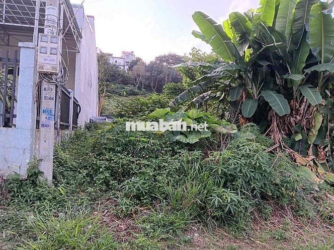 Bán 350m2 đất thổ cư P.Nghĩa Tân,Gia Nghĩa,Daknong.10 x 35 Giá 2 tỷ