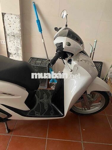 Mình cần bán Sh chính chủ biển 19