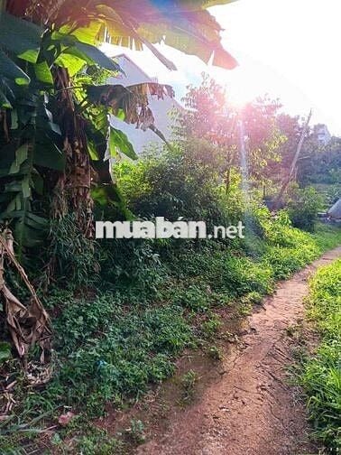 Bán 350m2 đất thổ cư P.Nghĩa Tân,Gia Nghĩa,Daknong.10 x 35 Giá 2 tỷ