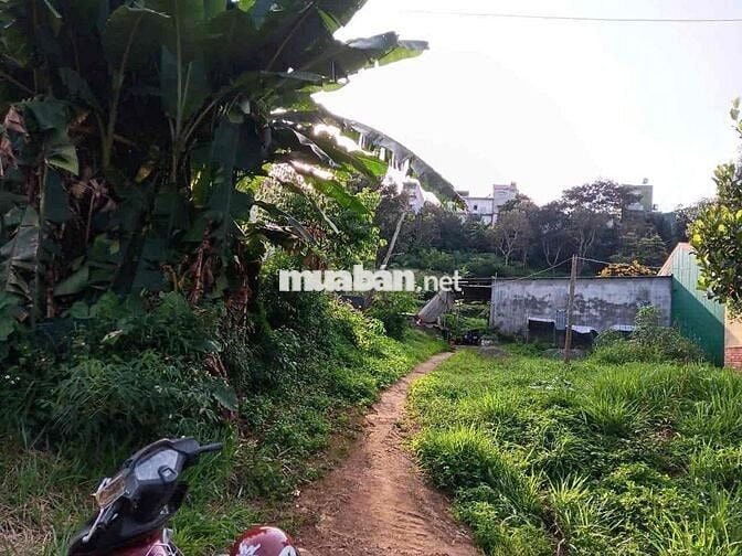 Bán 350m2 đất thổ cư P.Nghĩa Tân,Gia Nghĩa,Daknong.10 x 35 Giá 2 tỷ