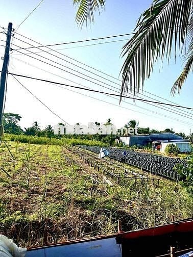 ĐẦU TƯ DÒNG TIỀN • TRỒNG CÂY GIỐNG • XE HƠI 7 CHỖ • KẾ QLO 57