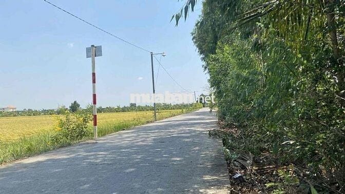 Ngân hàng thanh lý 270m2 đất mặt tiền tại Bình Thạnh, Thủ Thừa, LA