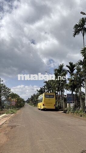 Cần bán gấp đất thổ cư Đường Hoàng Quốc Việt Giá Rẻ nhất khu vực ạ