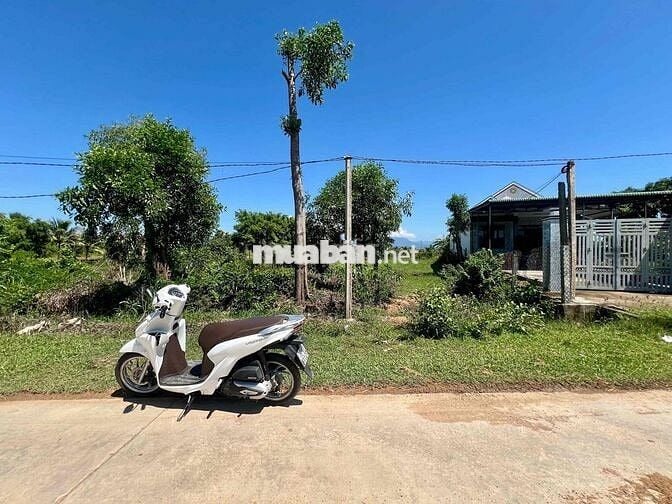 Bán 942m2 đất mặt tiền đường Gò Sắn Vườn Đào