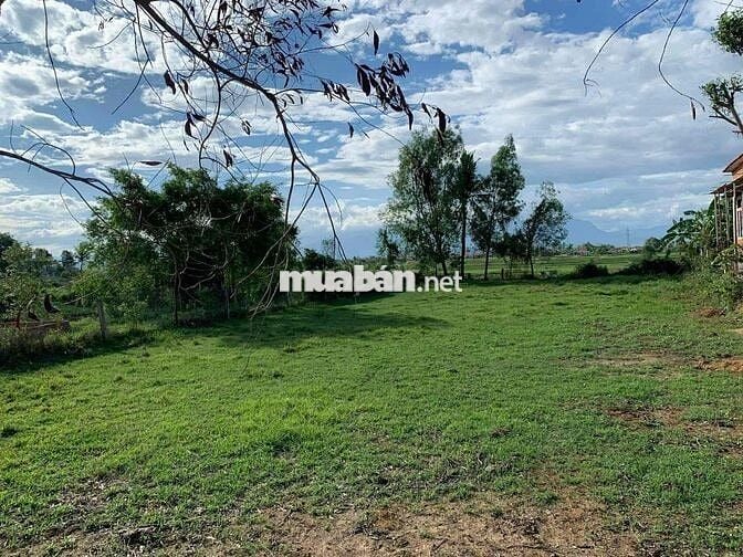 Bán 942m2 đất mặt tiền đường Gò Sắn Vườn Đào