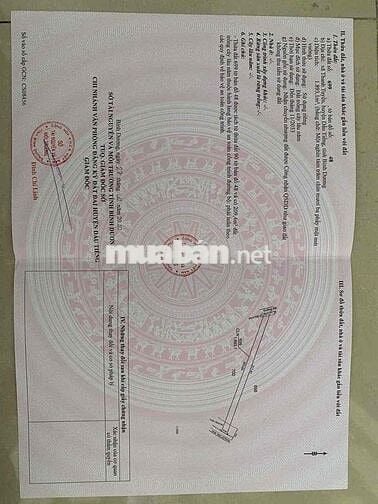 3ha đất SKC 50 năm đóng thuế 1 lần, Thanh tuyền, dầu tiếng (40 tỷ)