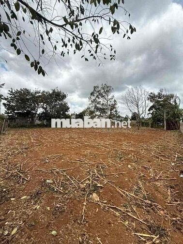 Đất Full hồng mặt tiền dài gần QL 14 P Buôn Hồ giá rẻ