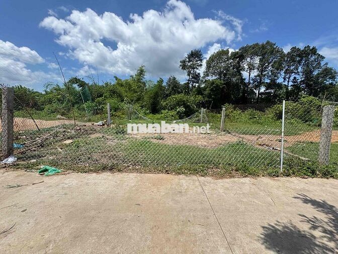 Đất Hẻm Ôtô Nguyễn Chí Thanh Thông Đồng Khởi Gần Chợ Phường 9