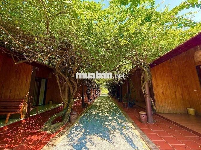 BÁN 150M ĐẤT FULL THỔ CƯ HÀ NỘI