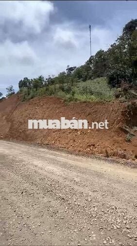 Đất mặt tiền tỉnh lộ 676 siêu đẹp giá mềm