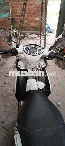 Yamaha Novo 4 Trắng Vàng đồng