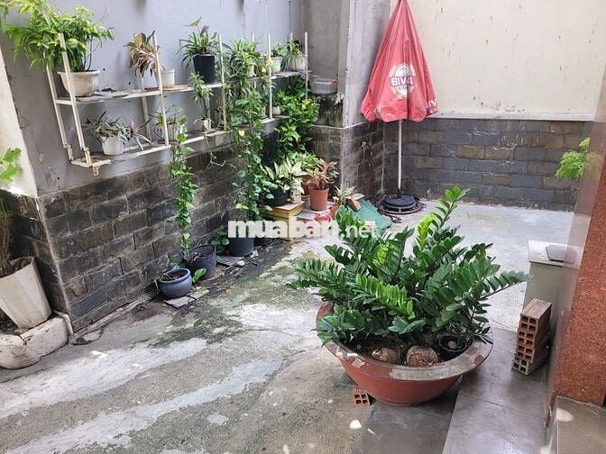 KHU VIP PHÚ NHUẬN - DTSD 300M - NỞ HẬU 7M - KHU AN NINH CÓ CỔNG BẢO VỆ