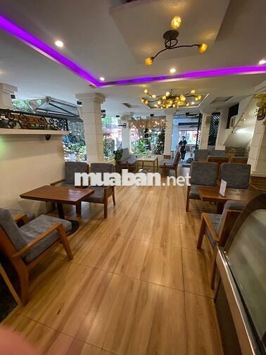 - Thuê biệt thự sân vườn + 500 m2 + phường 7 Tân Bình