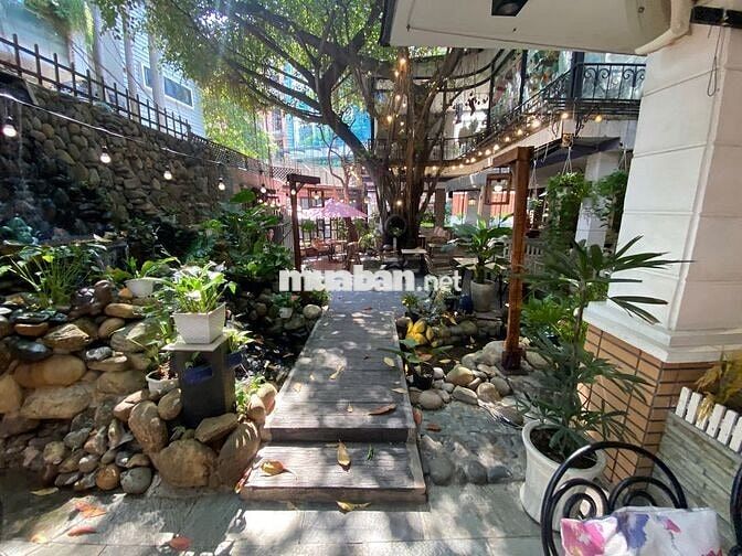 - Thuê biệt thự sân vườn + 500 m2 + phường 7 Tân Bình