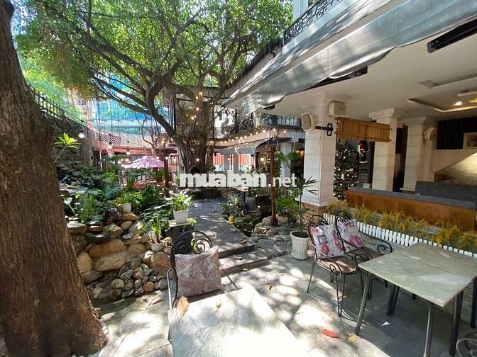 - Thuê biệt thự sân vườn + 500 m2 + phường 7 Tân Bình