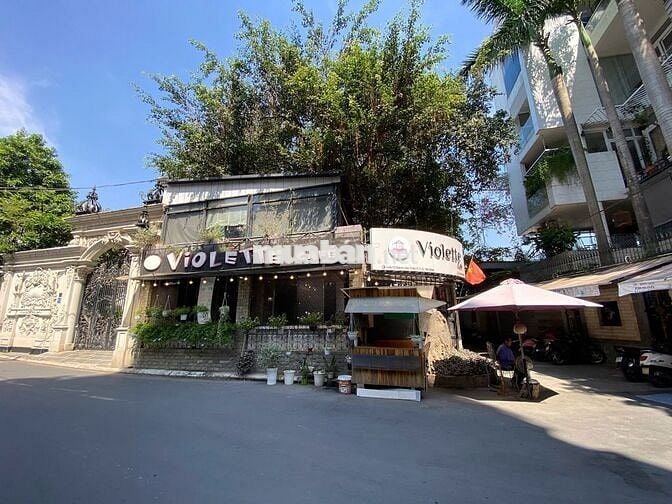 - Thuê biệt thự sân vườn + 500 m2 + phường 7 Tân Bình