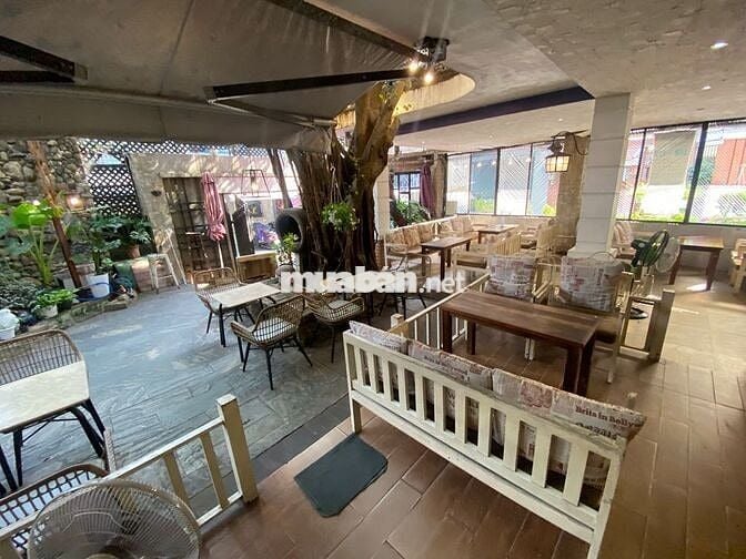 - Thuê biệt thự sân vườn + 500 m2 + phường 7 Tân Bình