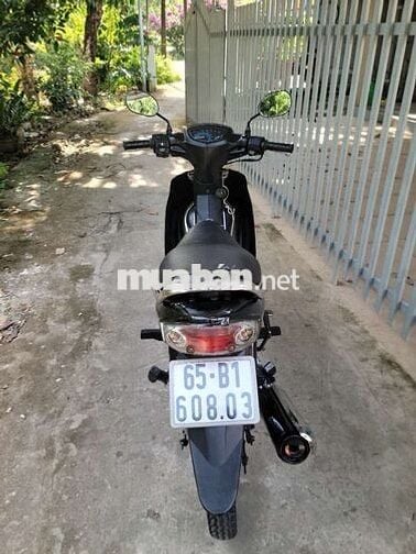 Sirius 110 han quoc xe đep may êm giay tơ hơp lê