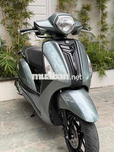 grander 2019 FI bs thành phố chính chủ kí