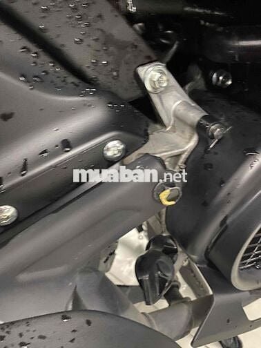 vison 2025 siêu lướt