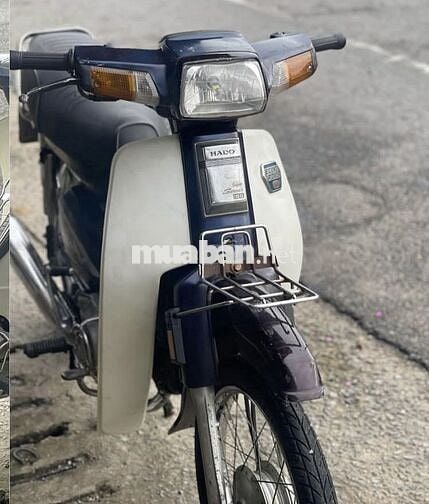 Honda Dream Hybrid / Dream Hàn Quốc