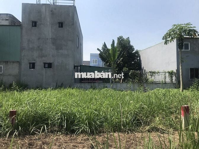 LÔ ĐẤT ĐẸP THỔ CƯ 100% SH RIÊNG TRUNG TÂM ẤP 4, XÃ CẦN GIUỘC, TÂY NINH