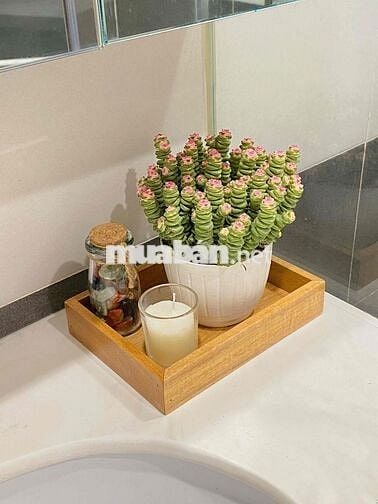 Căn hộ Studio Vinhomes Green bay Mễ Trì 25m2 full nội thất như ảnh