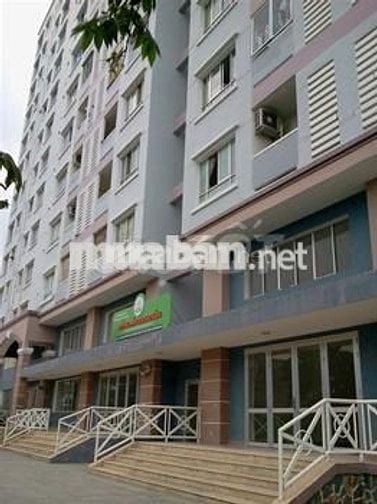 Bán căn hộ chung cư  Bông sao Phường 5, Q8.