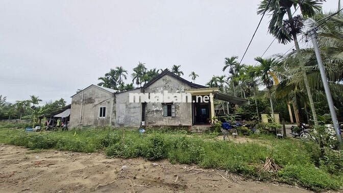 Chính chủ bán đất Cẩm thanh, Hội an, diện tích 532 m2, full thổ cư