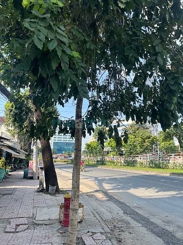 Cho thuê mặt bằng 257 Tô Ký, 50m2 chỉ 8 triệu