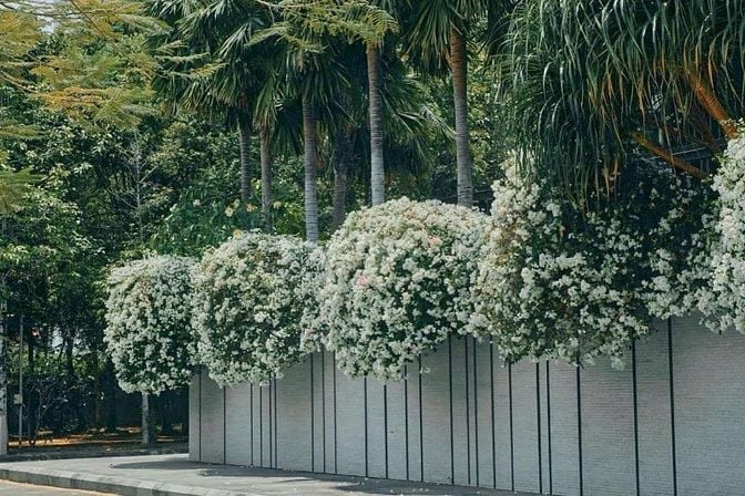 Giảm từ 165tỷ về 115tỷ Biệt thự 3T 680m2 Hồ Bơi khu Compound Thảo Điền