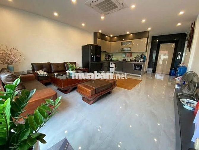 3 ôtô tránh, ngõ thông, KD tại phố Tam Trinh,không QH, phải thật nhanh