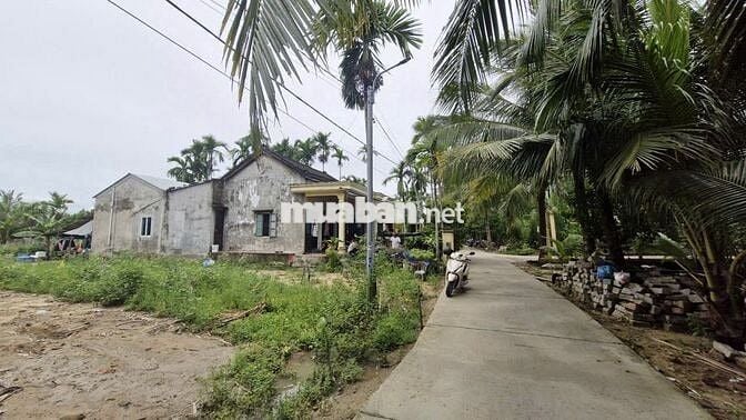 Chính chủ bán đất Cẩm thanh, Hội an, diện tích 532 m2, full thổ cư