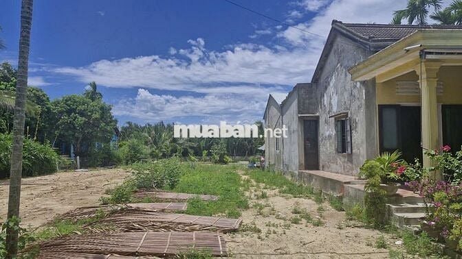 Chính chủ bán đất Cẩm thanh, Hội an, diện tích 532 m2, full thổ cư