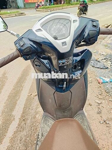 Honda Lead 125 Xanh đen