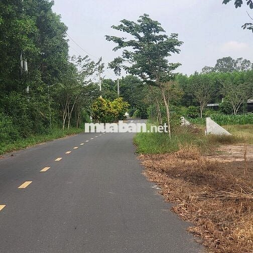 Bán đất kinh doanh gần cổng chính kcn Đất Đỏ 190.5m2