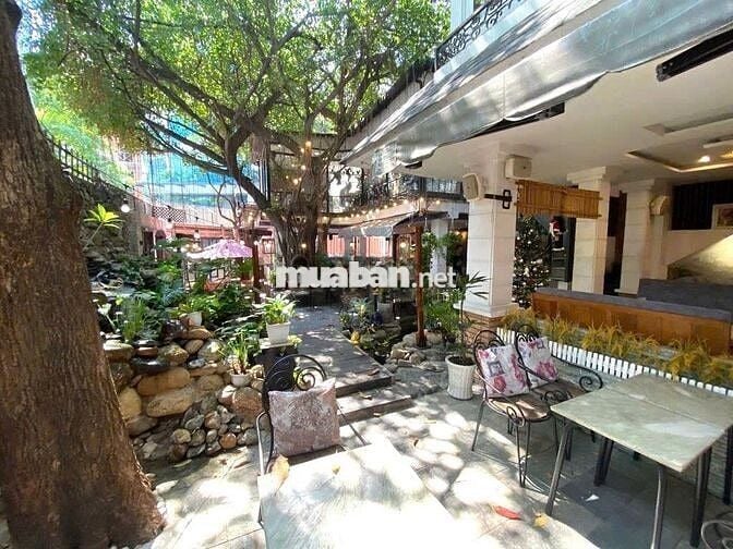 Cho Thuê Nhà Góc Đẹp Đường Bành Văn Trân, Tân Bình (12.5x22m - TỰ DO)