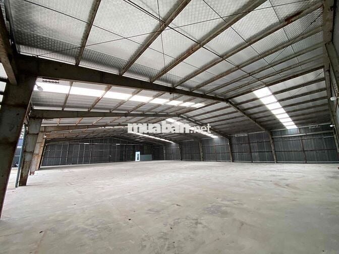 cho thuê kho xưởng 5000m2 giá cực mềm