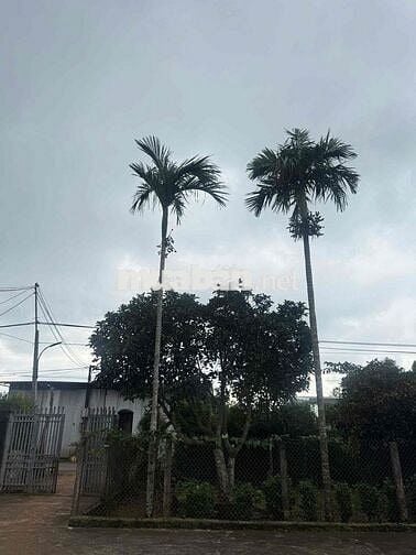 PENHOUSE *** Ở TRUNG TÂM TP. CẦN THƠ