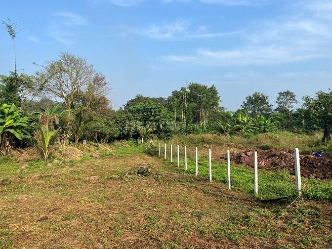 Bán gấp lô đất vườn có thổ cư Long Thành giáp suối giá cực kỳ rẻ