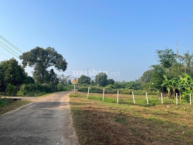 Bán gấp lô đất vườn có thổ cư Long Thành giáp suối giá cực kỳ rẻ