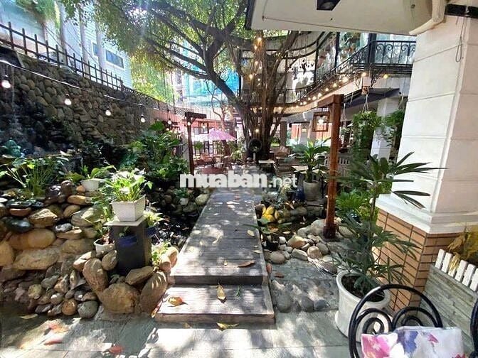 Cho Thuê Nhà Góc Đẹp Đường Bành Văn Trân, Tân Bình (12.5x22m - TỰ DO)