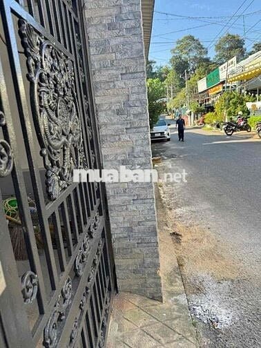 Cho thuê nhà nguyên căn đối diện chùa Tây Tạng đường nhựa 6