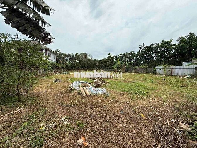 900m2 400m2 thổ cư Hiếm sát dự án Dreamland TTTM