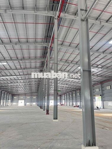 GIỚI THIỆU:  CHO THUÊ NHÀ XƯỞNG 10.000m2