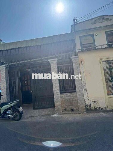 Cho thuê nhà nguyên căn đối diện chùa Tây Tạng đường nhựa 6