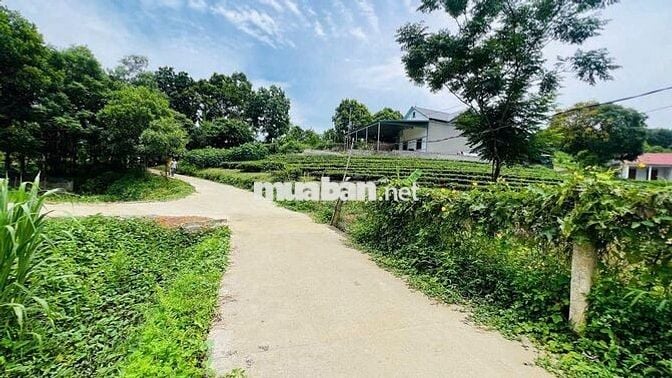 LÔ ĐẤT NGHỈ DƯỠNG, BIỆT THỰ, HÒA BÌNH 3600m2 - GIÁ ĐẦU TƯ-CÁCH HN 50KM