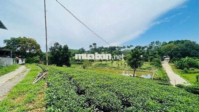 LÔ ĐẤT NGHỈ DƯỠNG, BIỆT THỰ, HÒA BÌNH 3600m2 - GIÁ ĐẦU TƯ-CÁCH HN 50KM